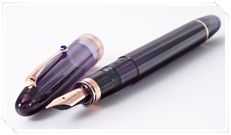 high cost pen in india