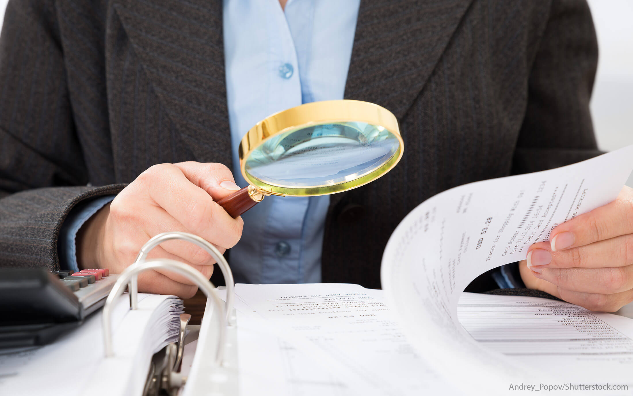 IRS tax audits